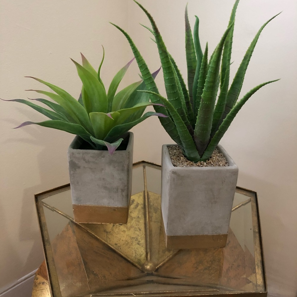 Decorative Plant Holders
